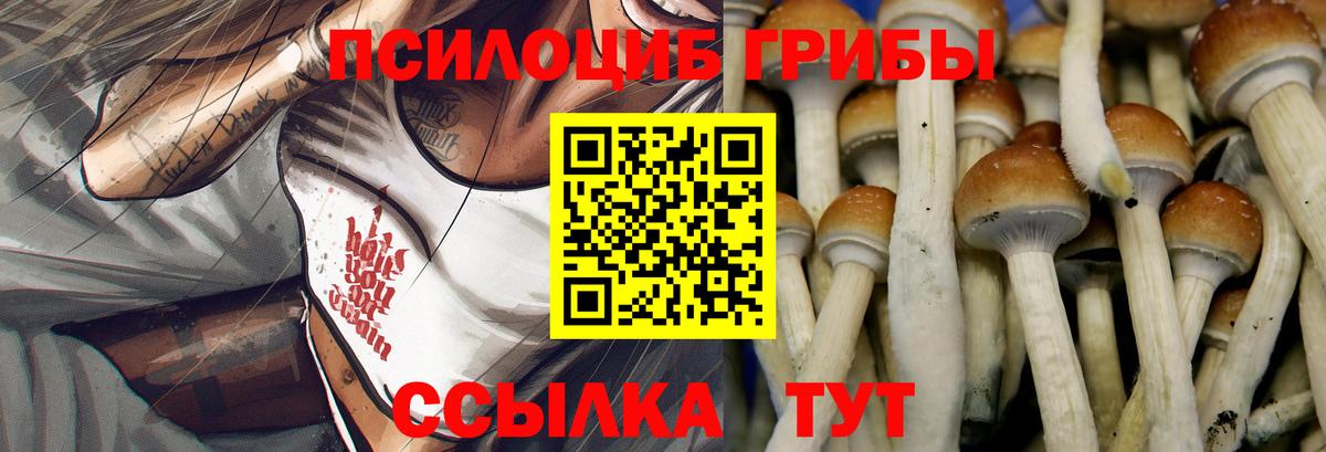 Кировск  Псилоцибиновые грибы Magic Shrooms  Вход с VPN  Псилоцибиновые грибы Psilocybine cubensis 