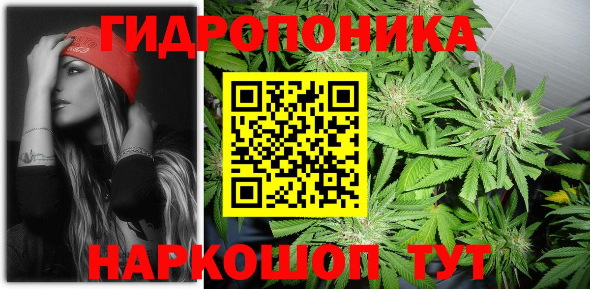 Каннабис сатива  Канабис ГИДРОПОН  Кировск  Каннабис THC 21%  Вход с VPN 
